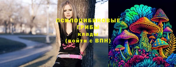 не бодяженный Алексин