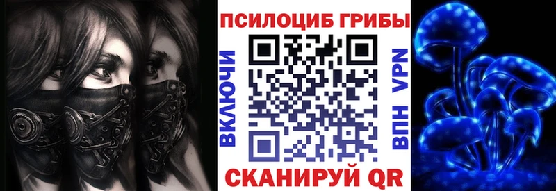Галлюциногенные грибы мицелий как найти закладки Ишим