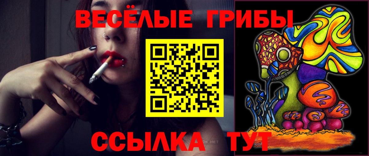 Галлюциногенные грибы Psilocybine cubensis  Галлюциногенные грибы GOLDEN TEACHER  цена   Ишим  Вход с VPN 